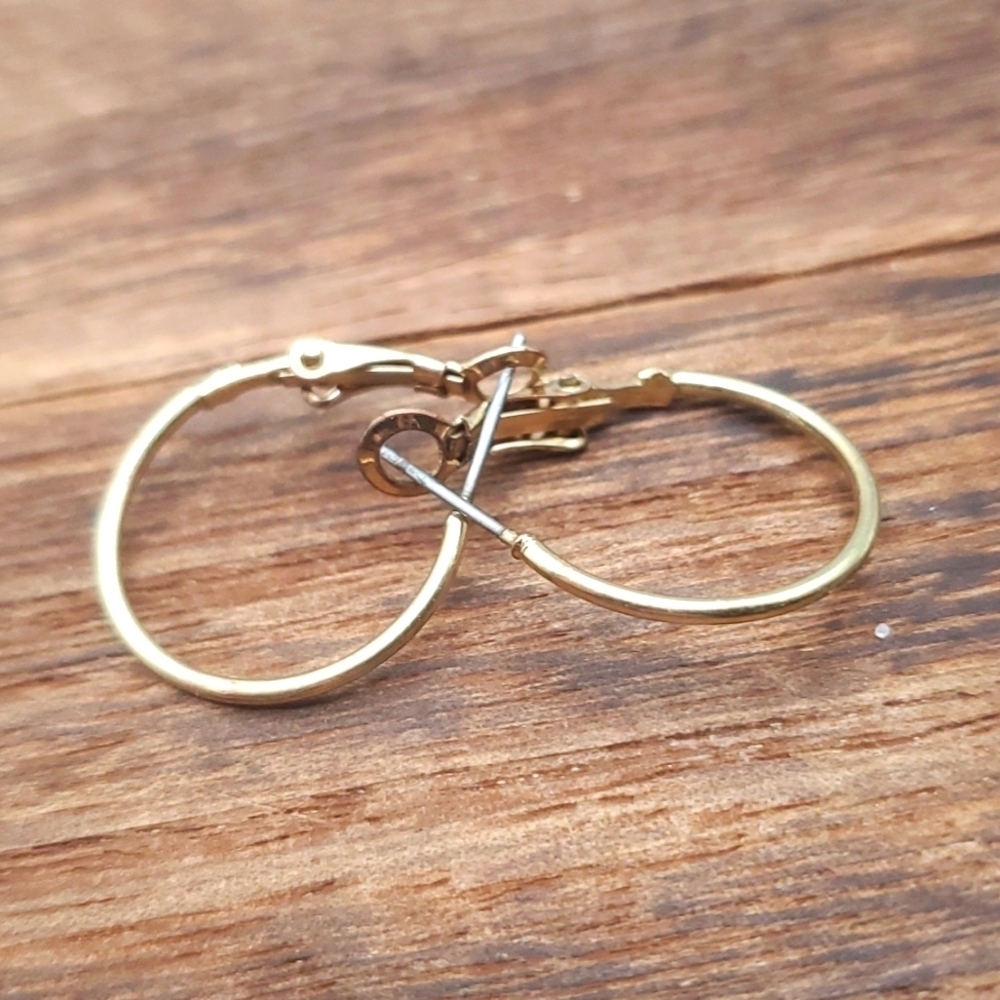 Yesterday's romance small hoop classic earrings‎ E256